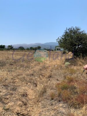 Πωλείται Γή στο Τιγκάκη της Κώ - Image 3