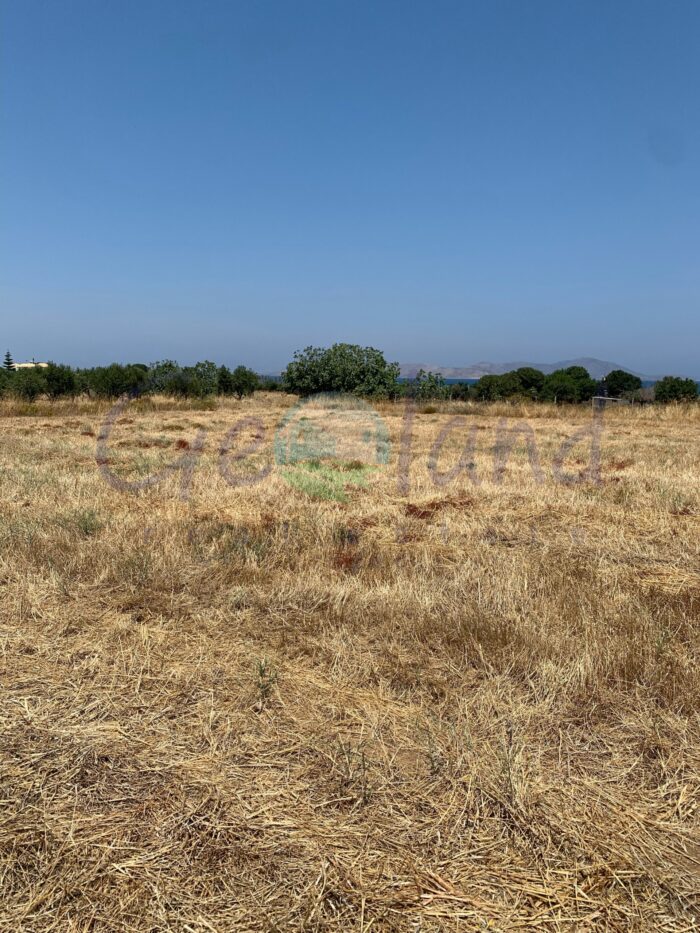 Πωλείται Γή στο Τιγκάκη της Κώ - Image 2